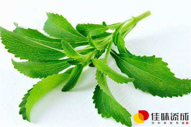 濟南果酒定制飲料配方研發(fā)與技術(shù)轉(zhuǎn)讓方案
