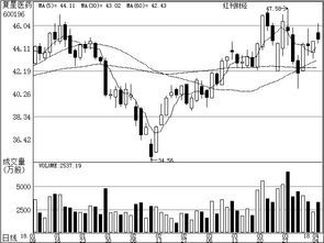 機(jī)構(gòu)聚焦基礎(chǔ)軟件開發(fā) 投資邏輯與核心標(biāo)的解析
