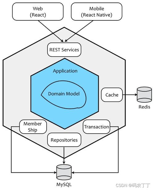 領(lǐng)域驅(qū)動(dòng)設(shè)計(jì) 應(yīng)對基礎(chǔ)軟件開發(fā)復(fù)雜度的核心思想與實(shí)踐